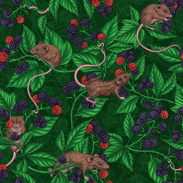 Mice and blackberries on dark green