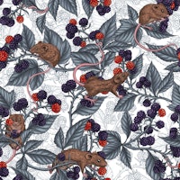 Mice and blackberries on white tapete