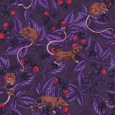 Pattern