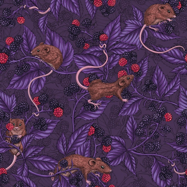 Mice and blackberries on dark violet