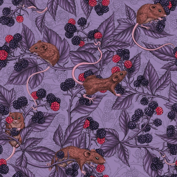 Mice and blackberries on lavender