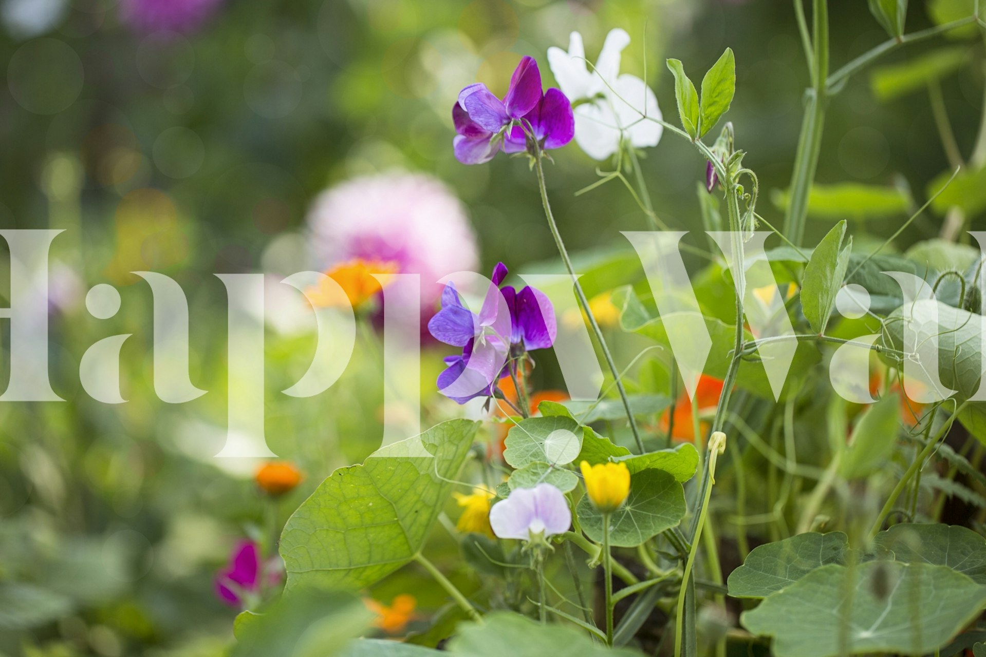 Χαρούμενος τοίχος Wild Gardenflowers σε ένα δωμάτιο