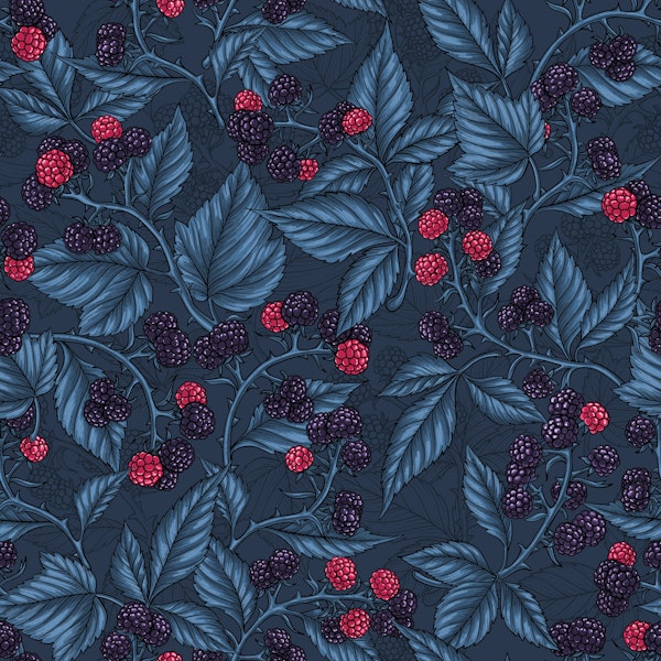 Blackberries on dark blue