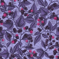 Blackberries on lilac wallpaper