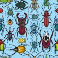 Beetles on blue wallpaper