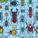 Beetles on blue