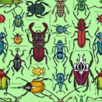 Beetles on light green wallpaper