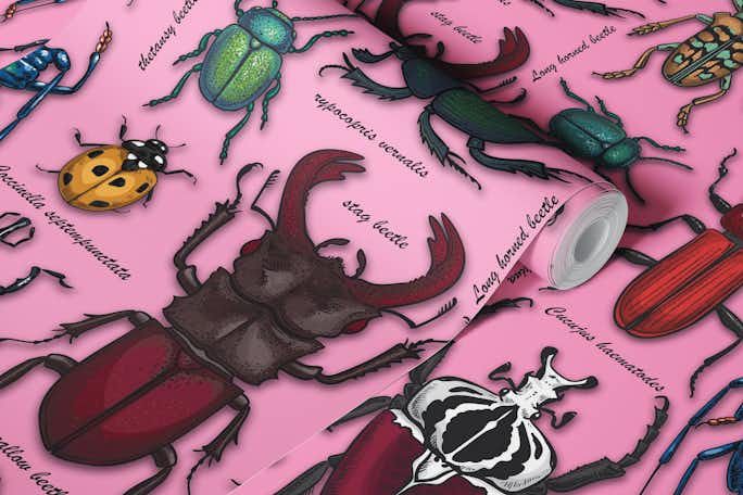 Beetles on pinkwallpaper roll