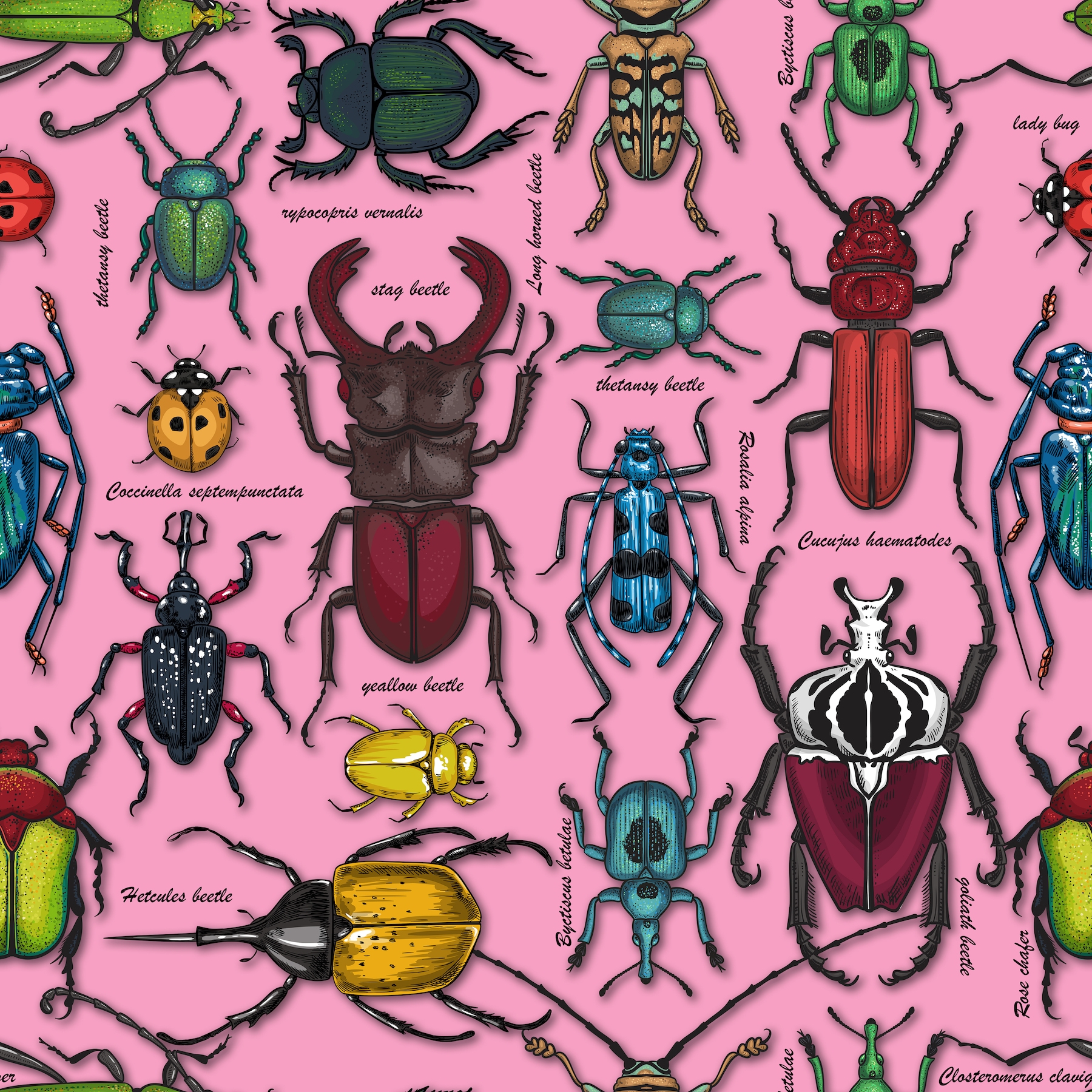 Buy Beautiful Beetles On Pink Wallpaper Online - Happywall