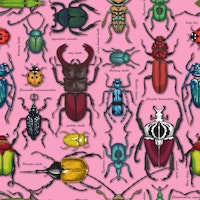 Beetles on pink wallpaper