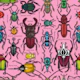 Beetles on pink