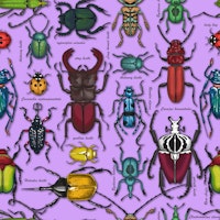 Beetles on lilac wallpaper