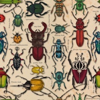 Beetles on old paper wallpaper