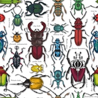 Beetles on white wallpaper