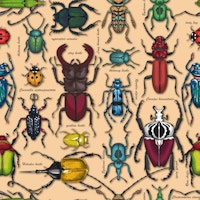 Beetles on honney wallpaper