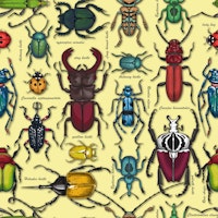 Beetles on yelow wallpaper