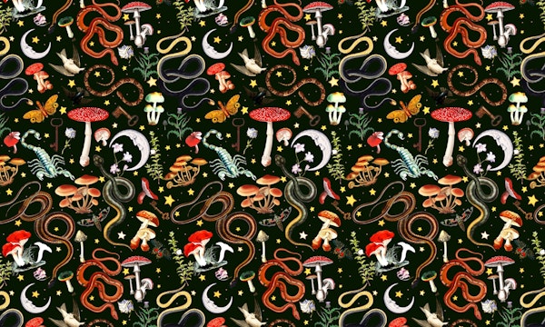 Mysterious Mushroom Forest II