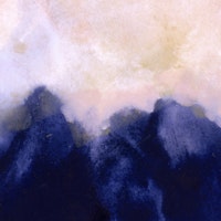 color and texture tapete