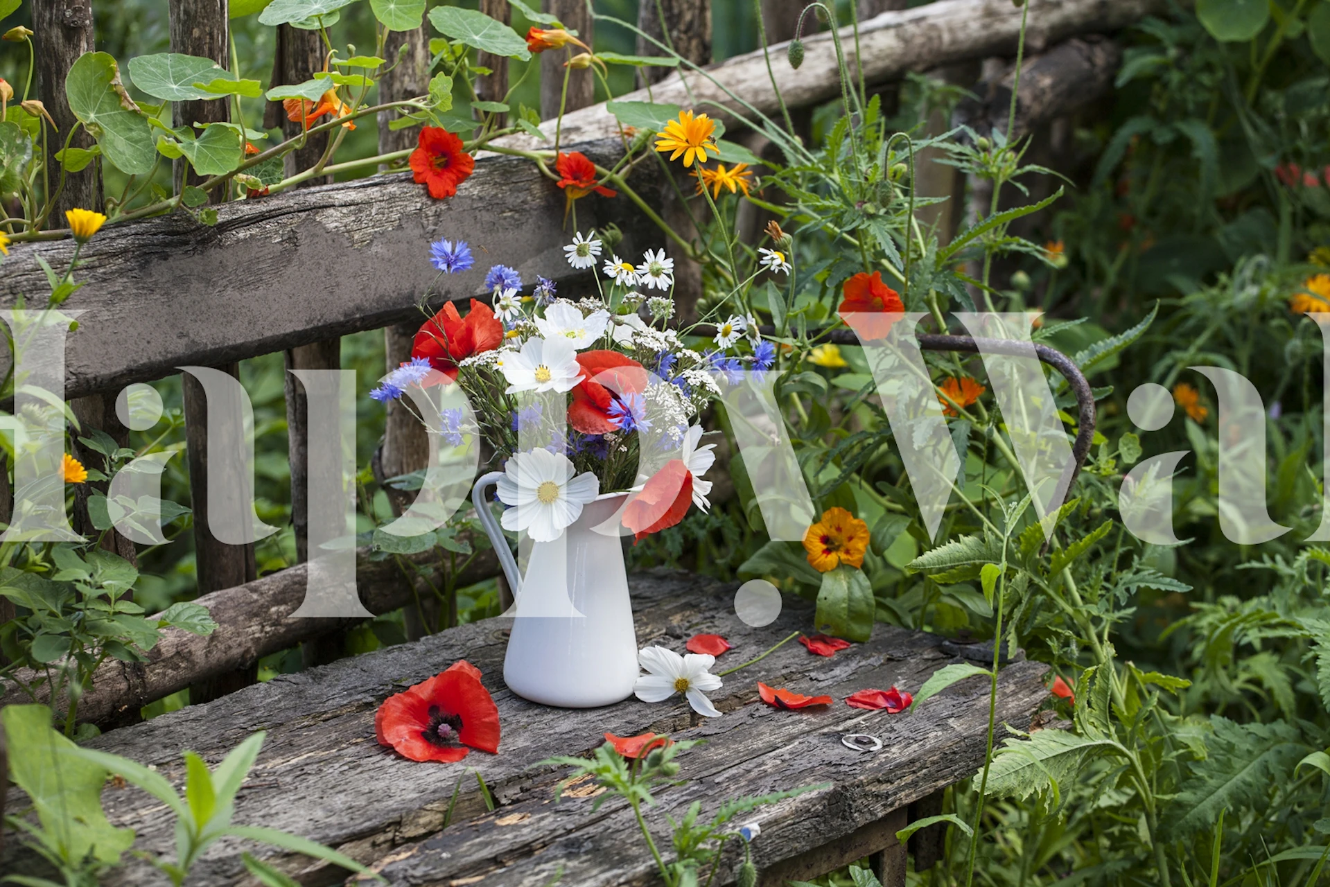 Wall mural of a wild flower bouquet in a white pitcher on a wooden bench