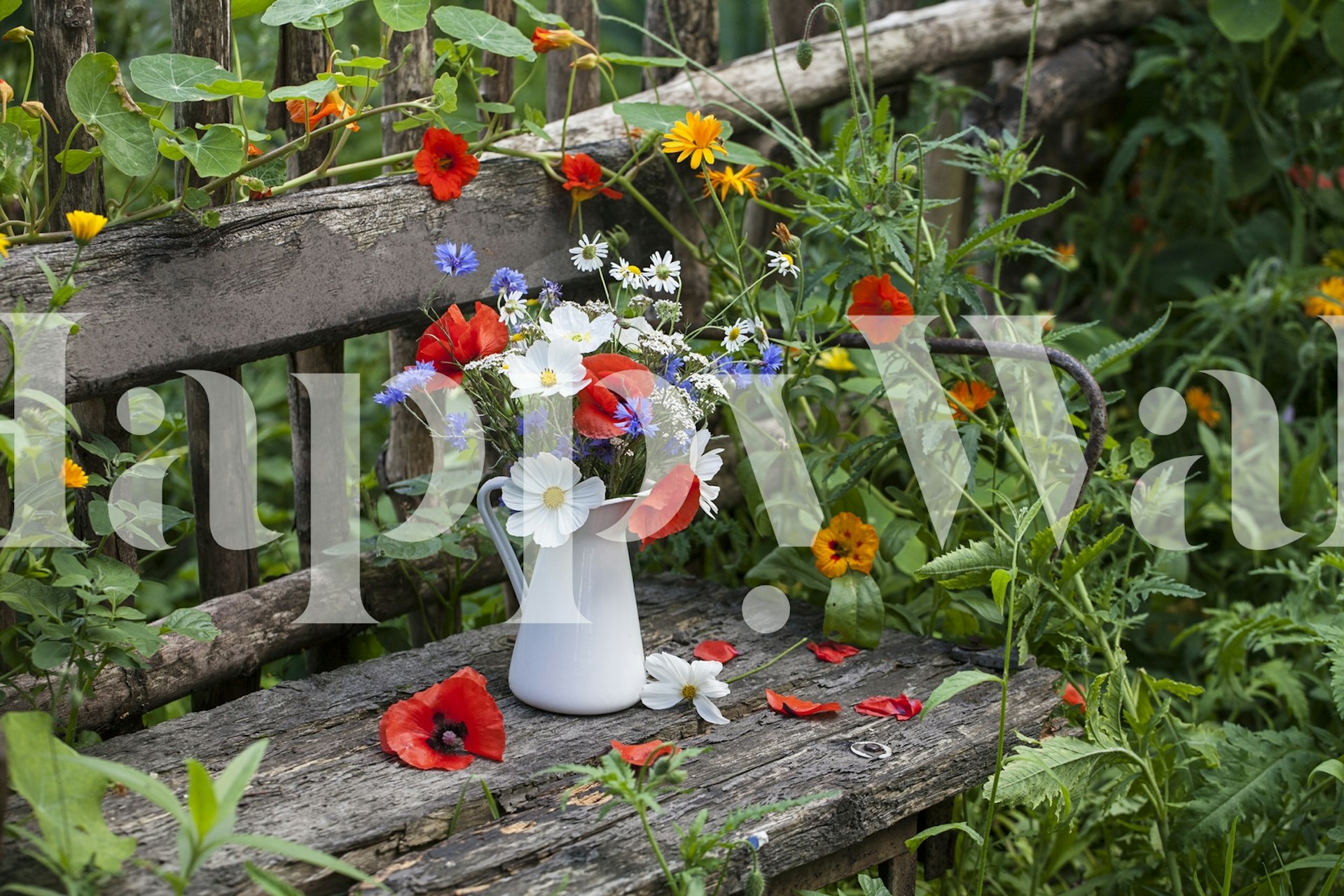 Wall mural of a wild flower bouquet in a white pitcher on a wooden bench