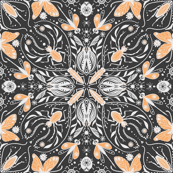 Bugs, black,off white and orange