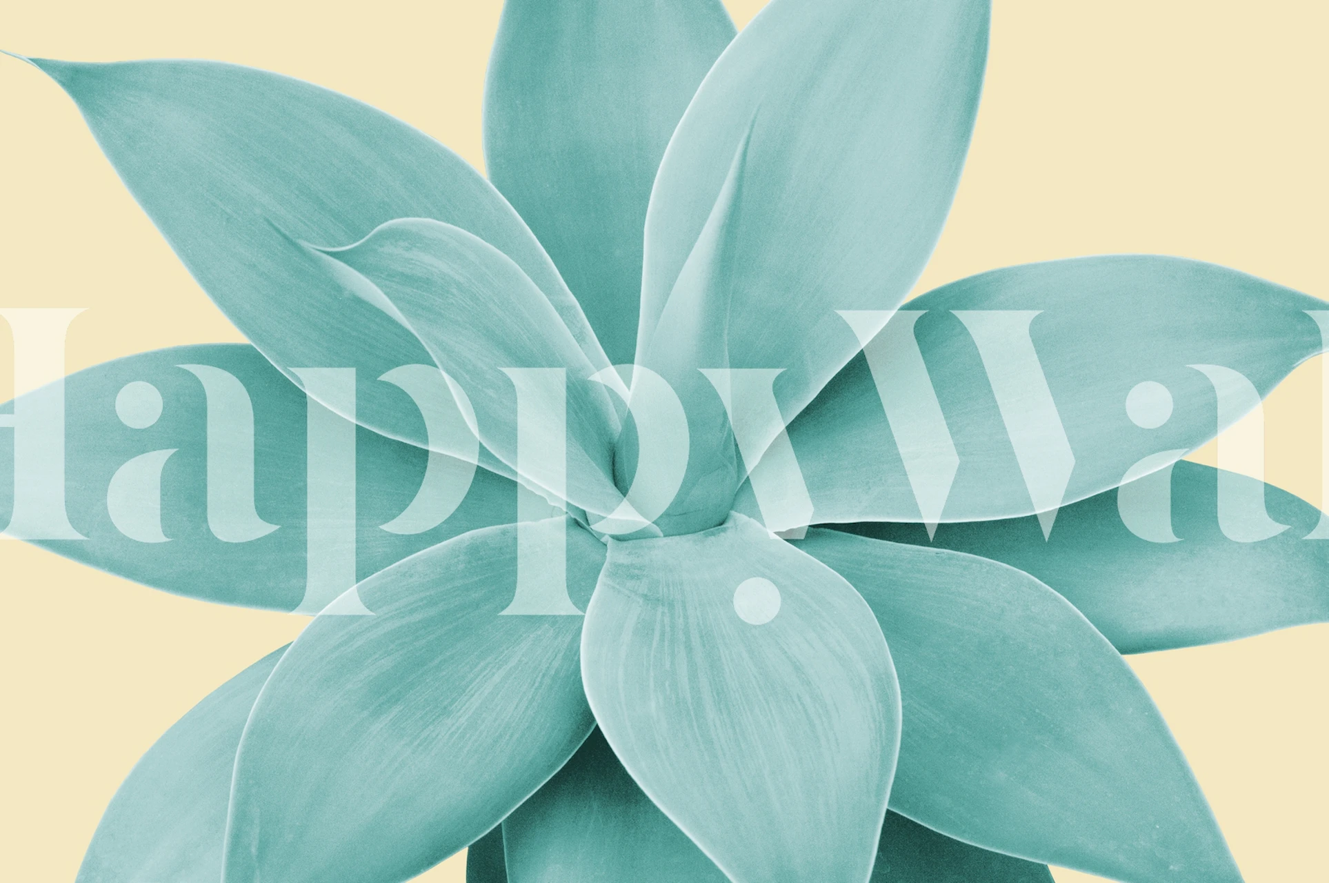 Teal agave leaves on a soft yellow background wallpaper