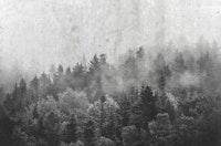 Fresh Day Gray ταπετσαρία