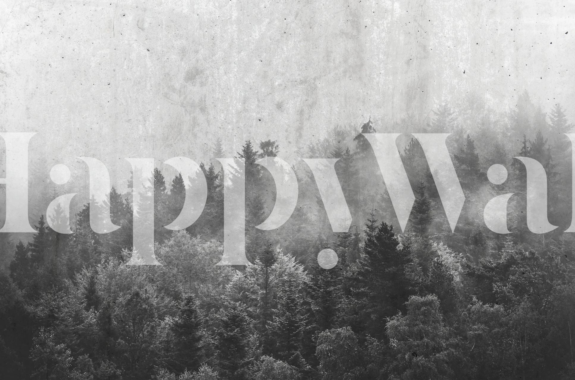 Monochrome foggy forest wall mural with trees fading into mist