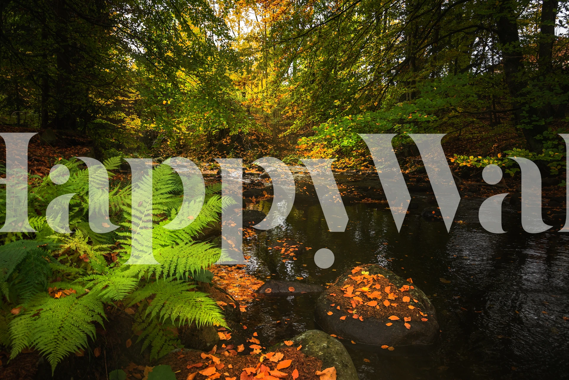 Autumn Colours at Lake wallpaper i et rum