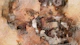 Warm Metal Abstract