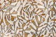 Neutral Matisse Inspired Fabric