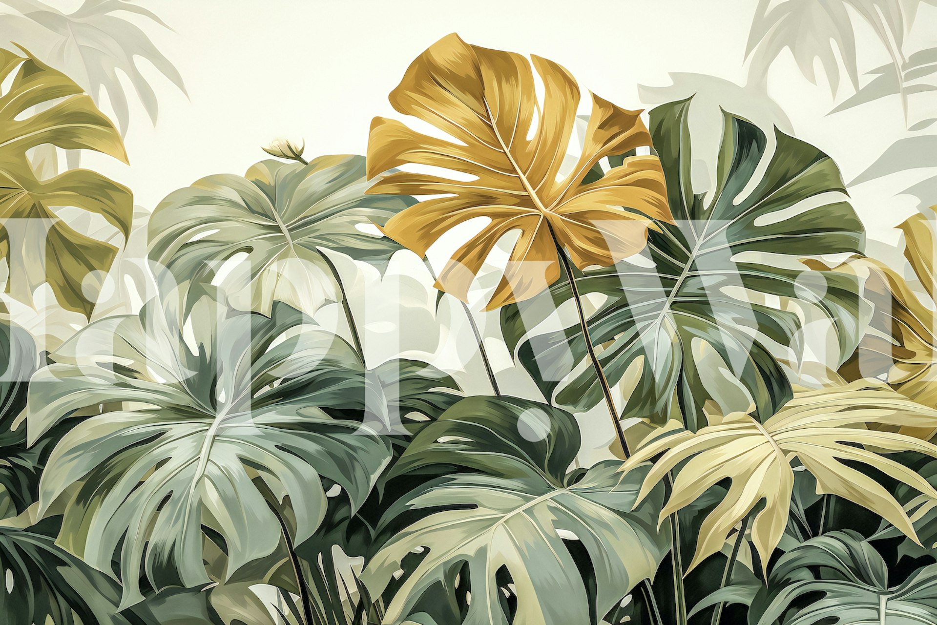 Monstera Variegata Wallpaper | Buy Trendy Wallpapers Online - Happywall