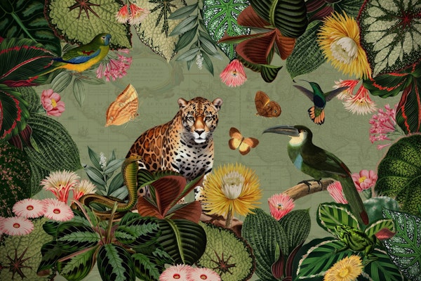 Nostalgic Exotic Jungle Landscape