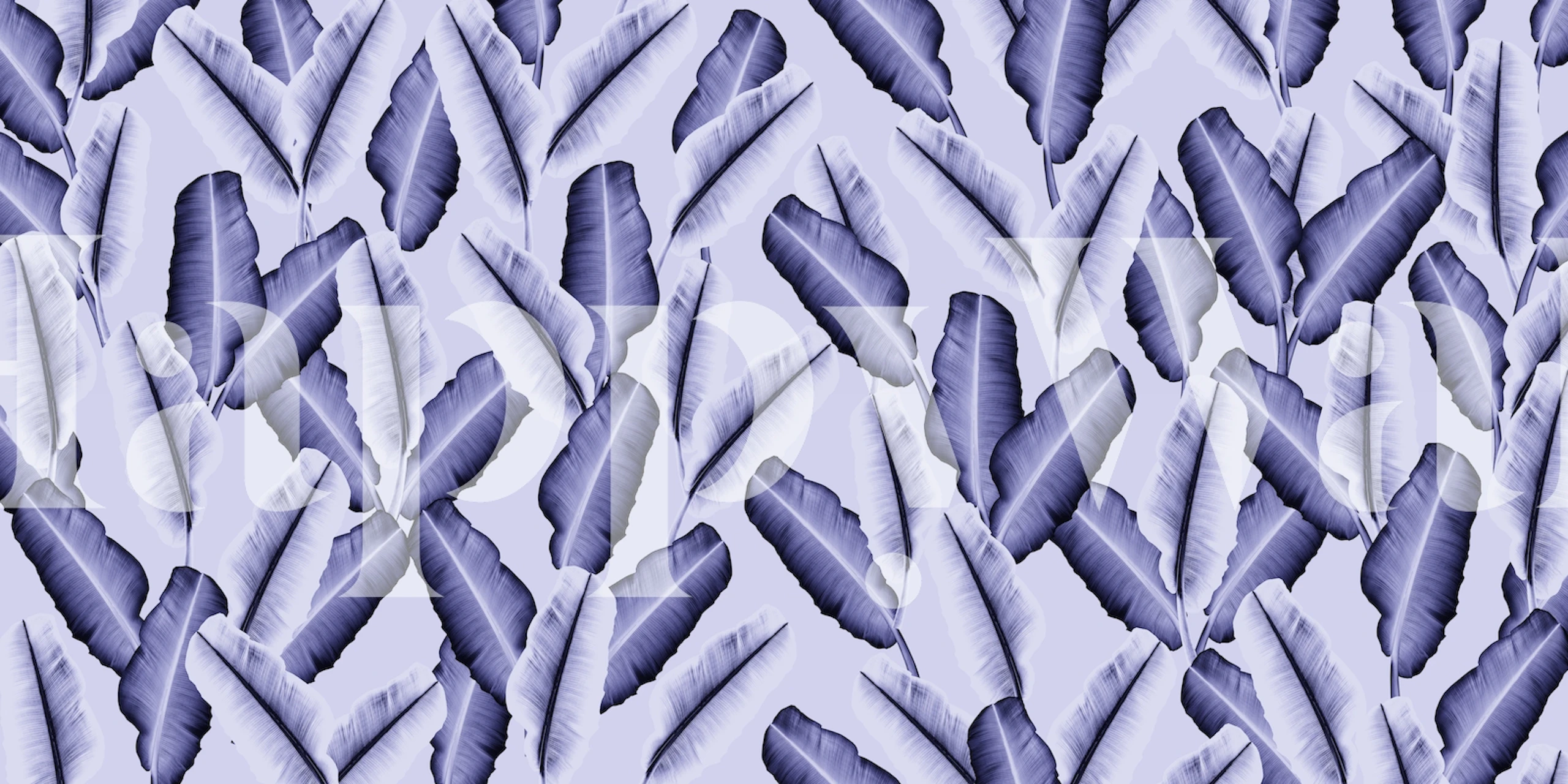 Tropical banana leaves mønster i et rom