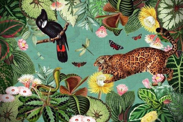 Dangerous Nostalgic Exotic Jungle Landscape