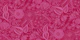 Bee Garden Floral in Cerise