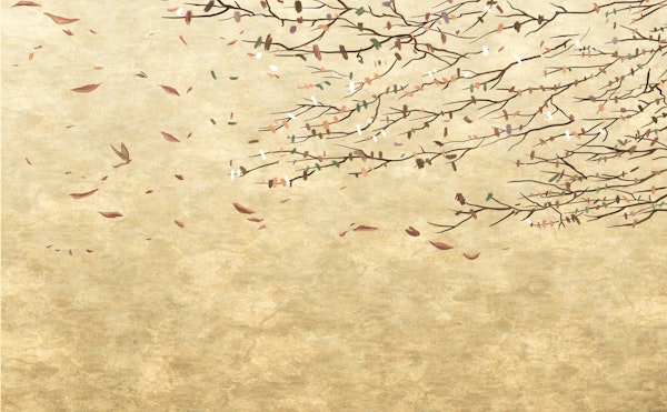 Tree branches picturesque