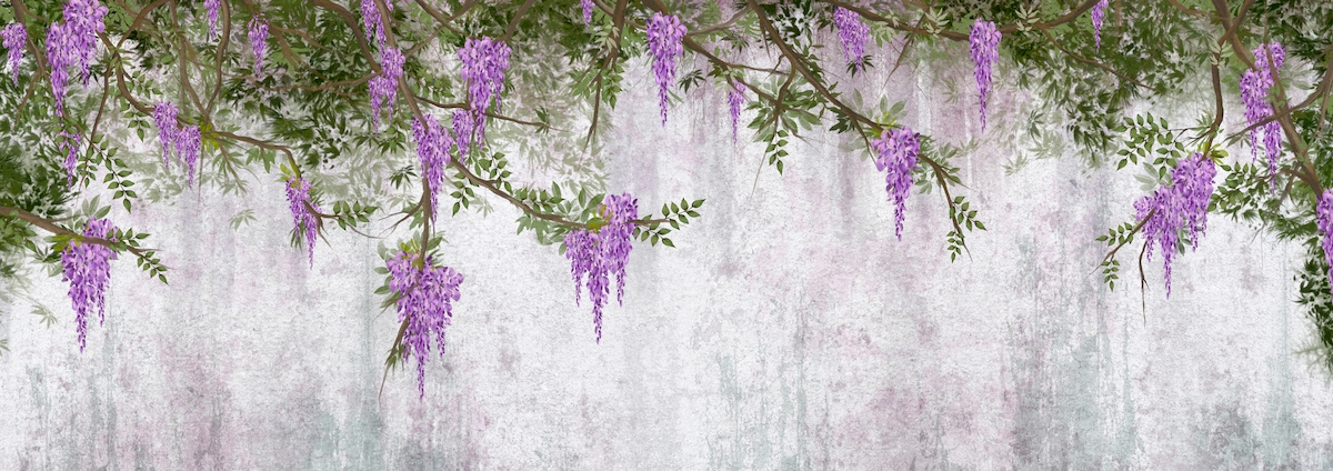 Buy Wisteria Wall Wallpaper | Happywall