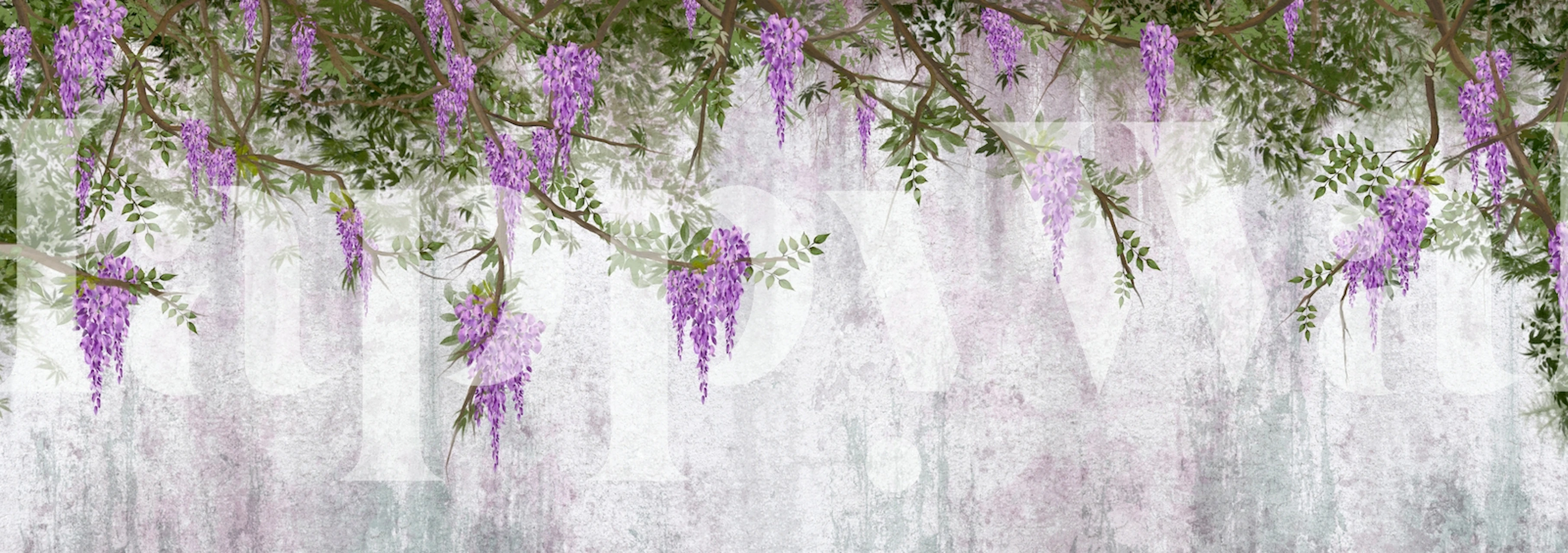 Wisteria wall wallpaper in a room