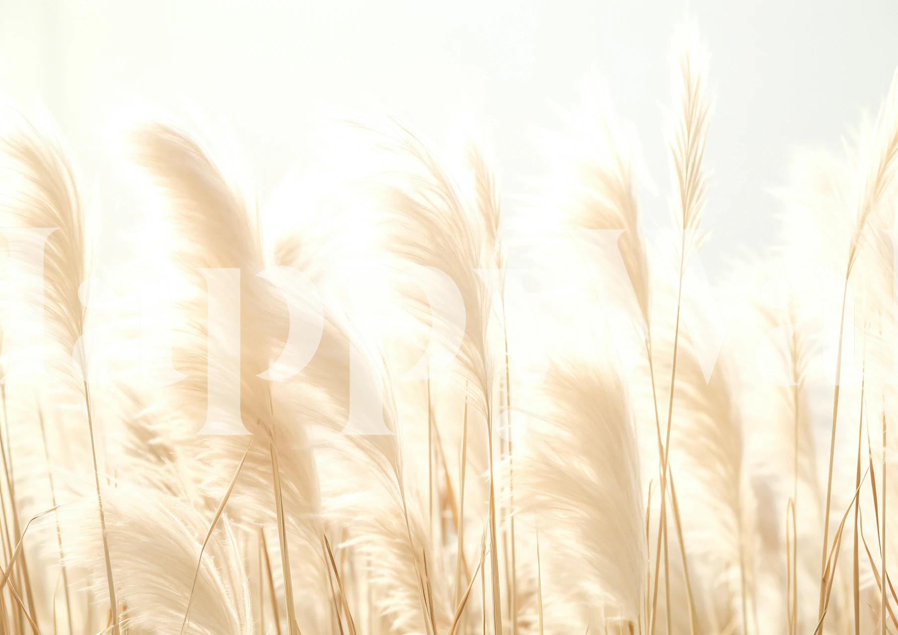 Pristine Pampas tapet i et lyst rum