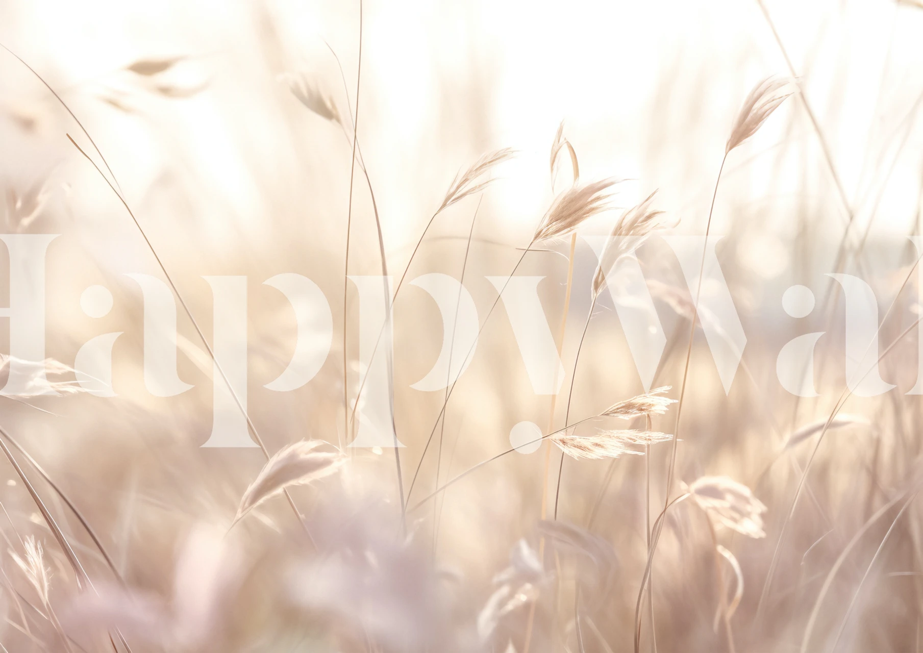 Papel pintado Golden Breeze en una habitación brillante