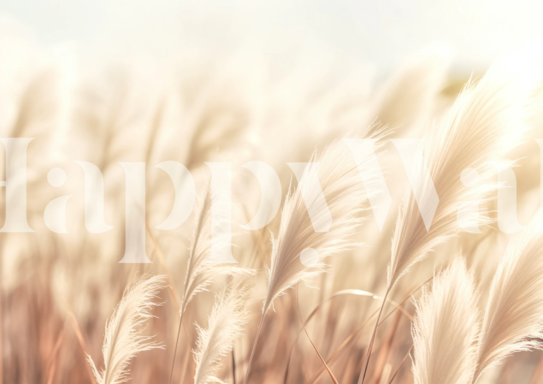 Soft beige grass wallpaper with gentle swirls, natural style