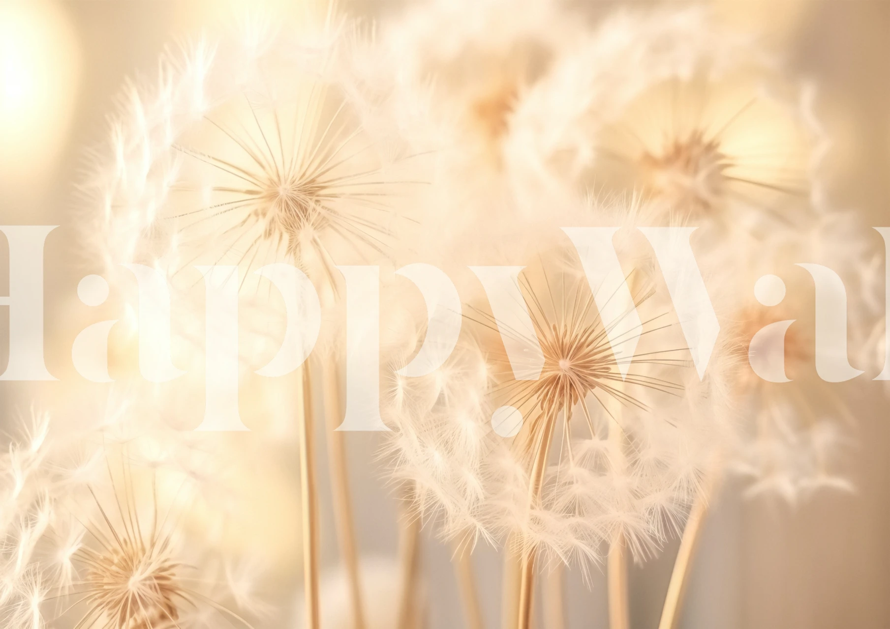 Whimsical dandelion wallpaper in a room