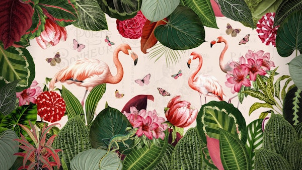 Flamingo Tropical Jungle