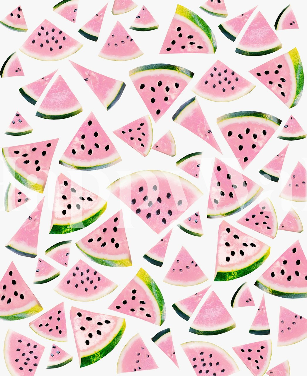 Watermelon slices in pink and green on a white background wallpaper