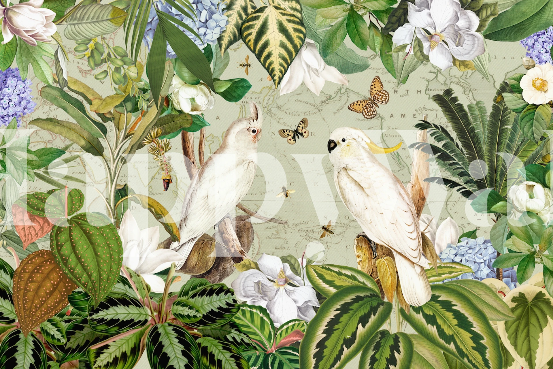 Tapeta Exotic Birds Adventure w pokoju