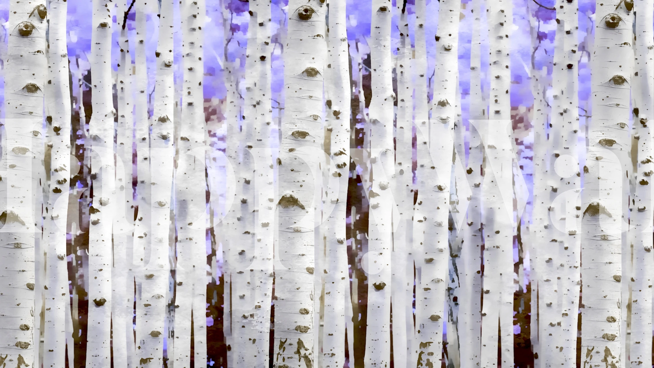 Purple Mist Birch Forest tapetti huoneessa