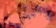 Coral Sunset Dream