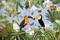 Exotic Toucan Adventure papiers peint
