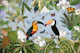 Exotic Toucan Adventure